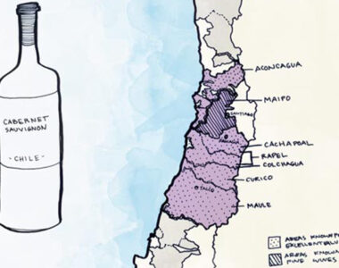 Rượu Vang Chile