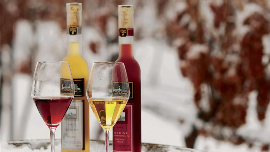 Rượu Vang Tuyết Là Gì – Ice Wine?